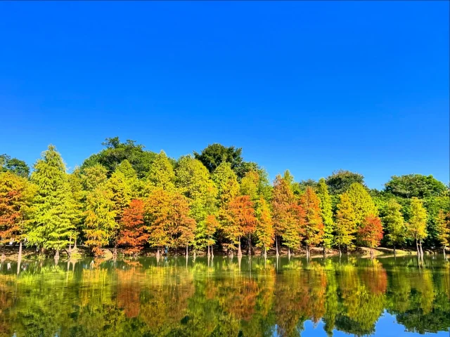 Hello March.
My affirmation for March is ‘I adapt to change easily and effortlessly’. What’s yours?  #reiki #reikibrisbane #reikihealing #marchaffirmations #selfempowement